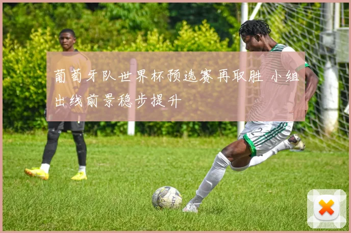 葡萄牙队世界杯预选赛再取胜 小组出线前景稳步提升